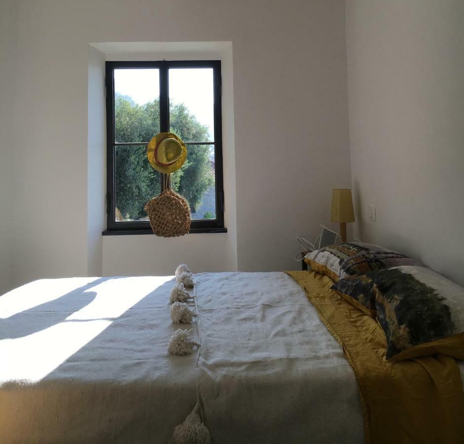 House In Grimaldi. Spectacular View Over The French Riviera! 格里马尔迪 外观 照片