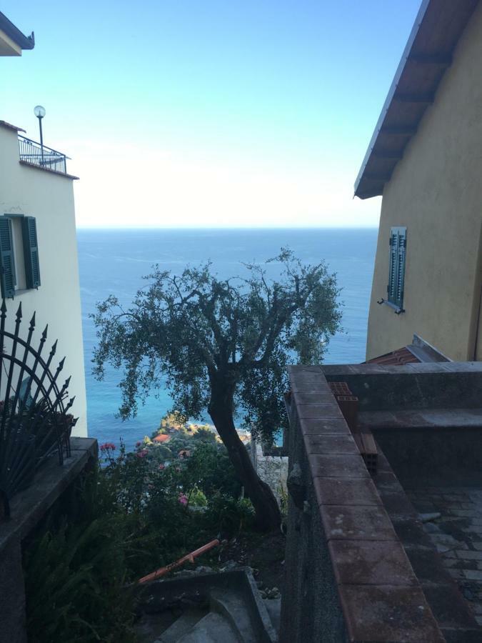 House In Grimaldi. Spectacular View Over The French Riviera! 格里马尔迪 外观 照片